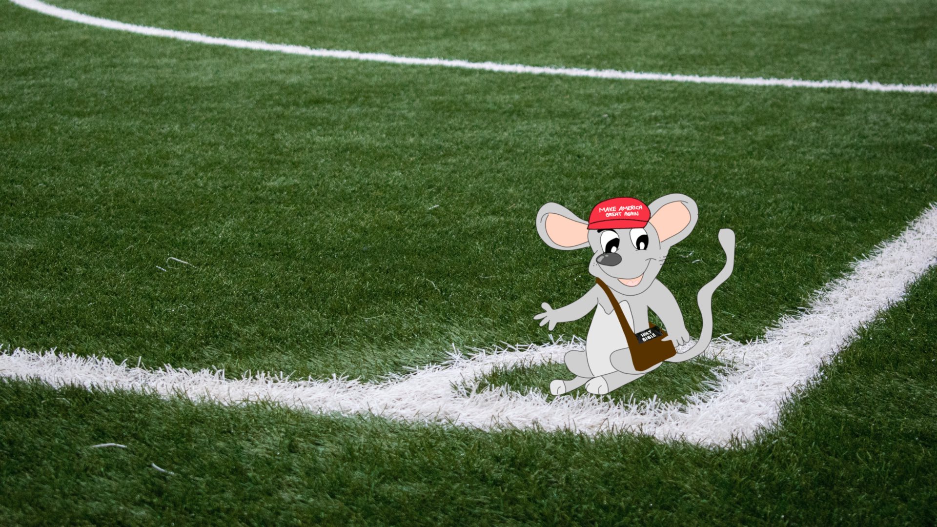 MAGA Mouse field