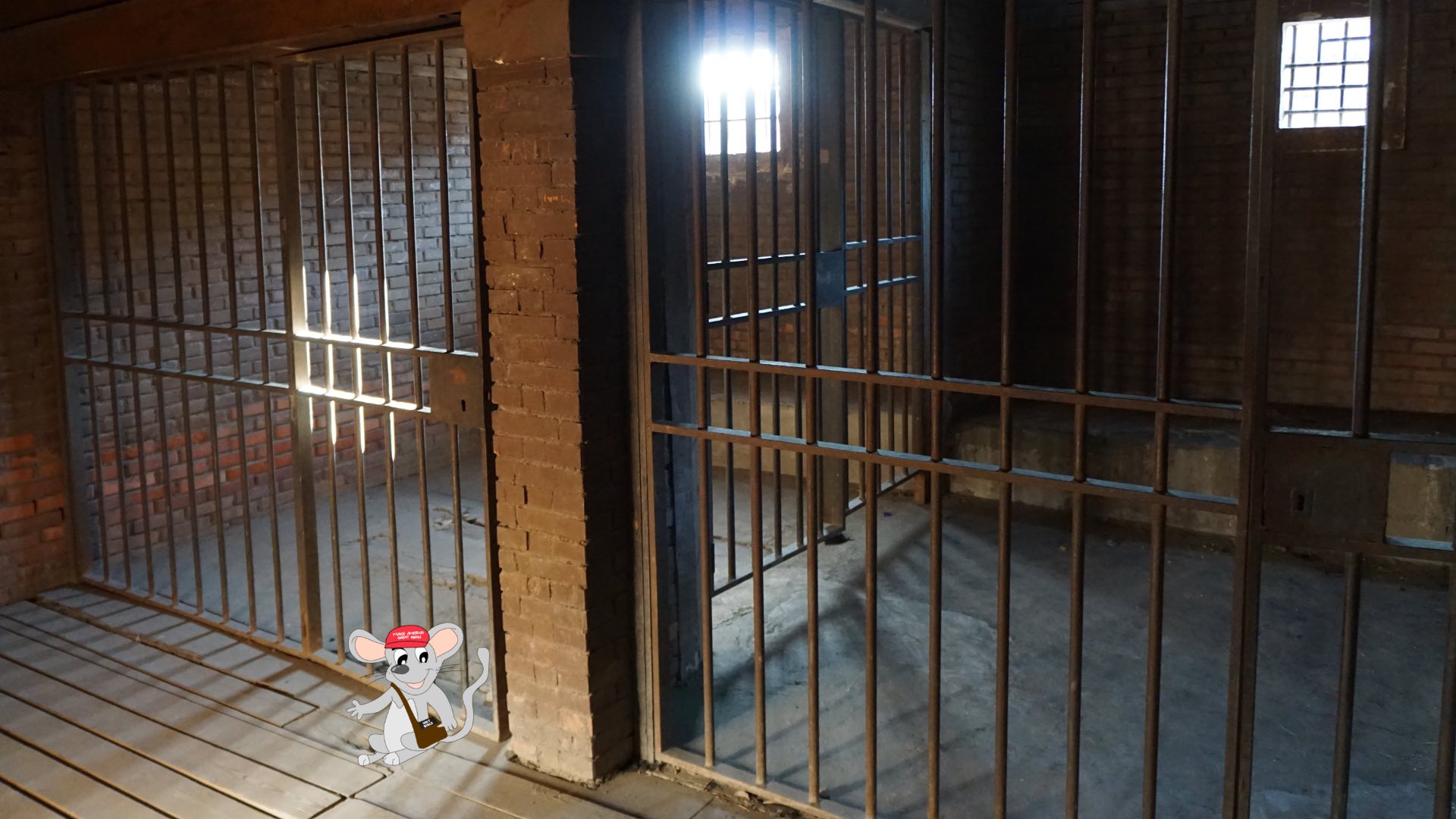 MAGA Mouse in Prison 