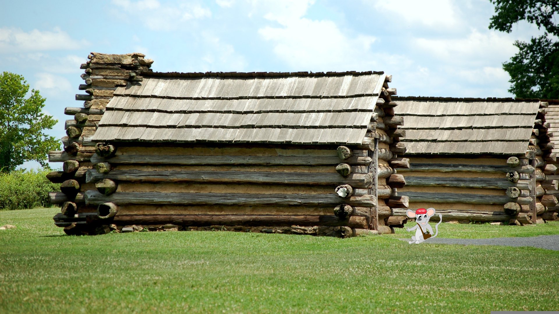 MAGA Mouse Valley Forge 